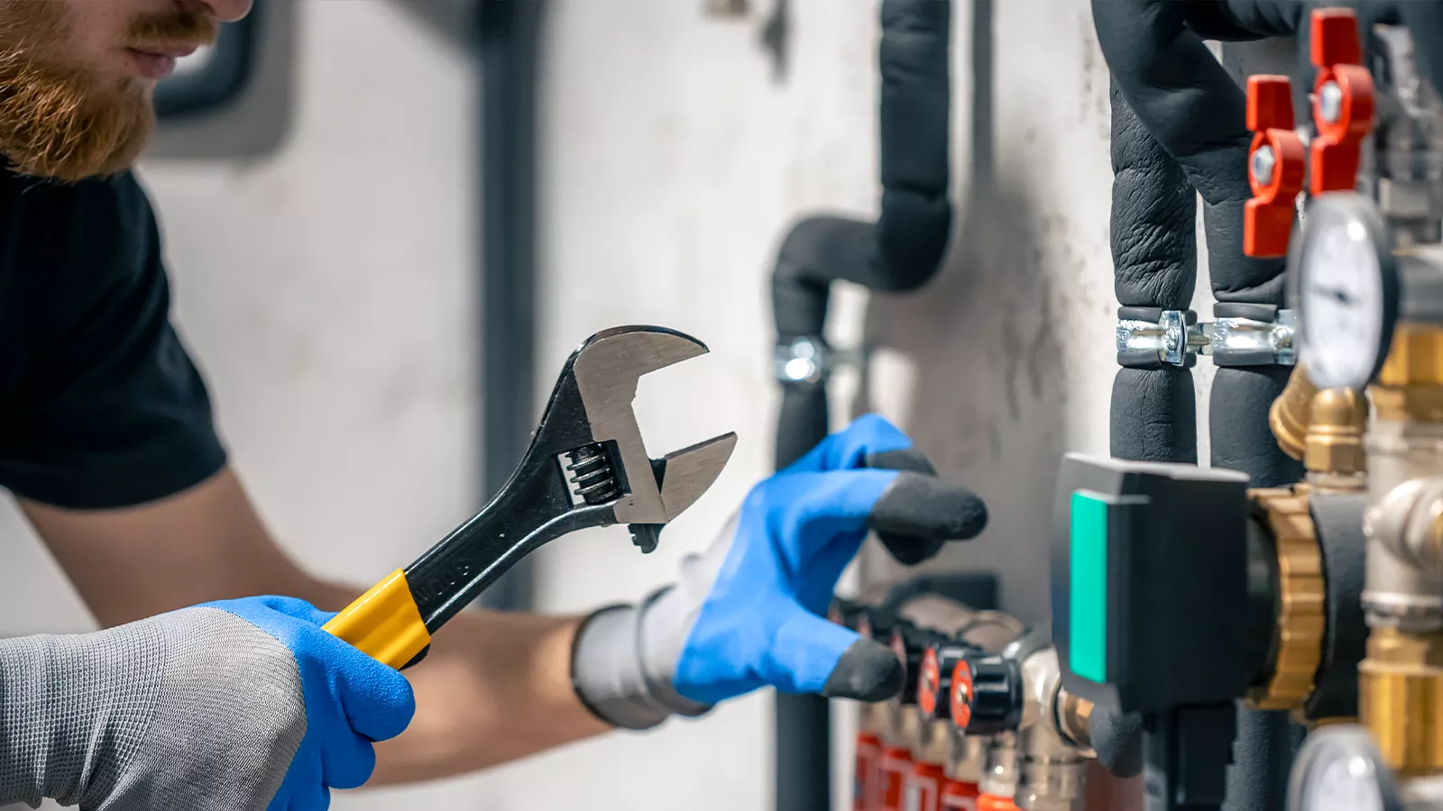 Service Frei und Affentranger