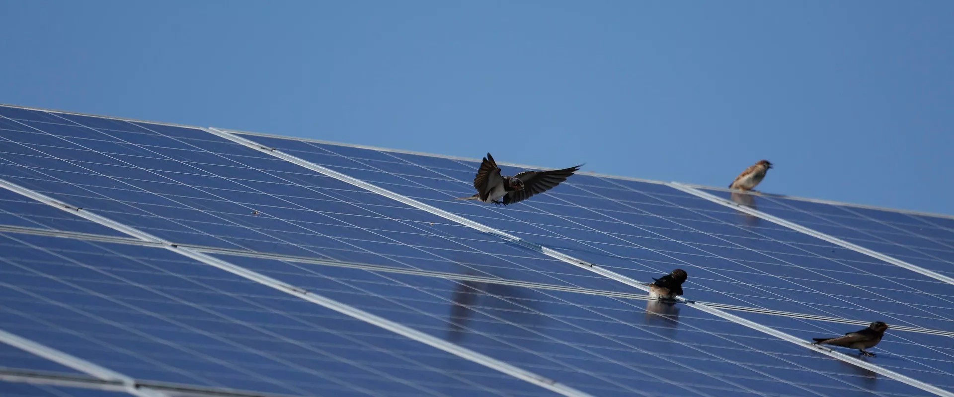 photovoltaik