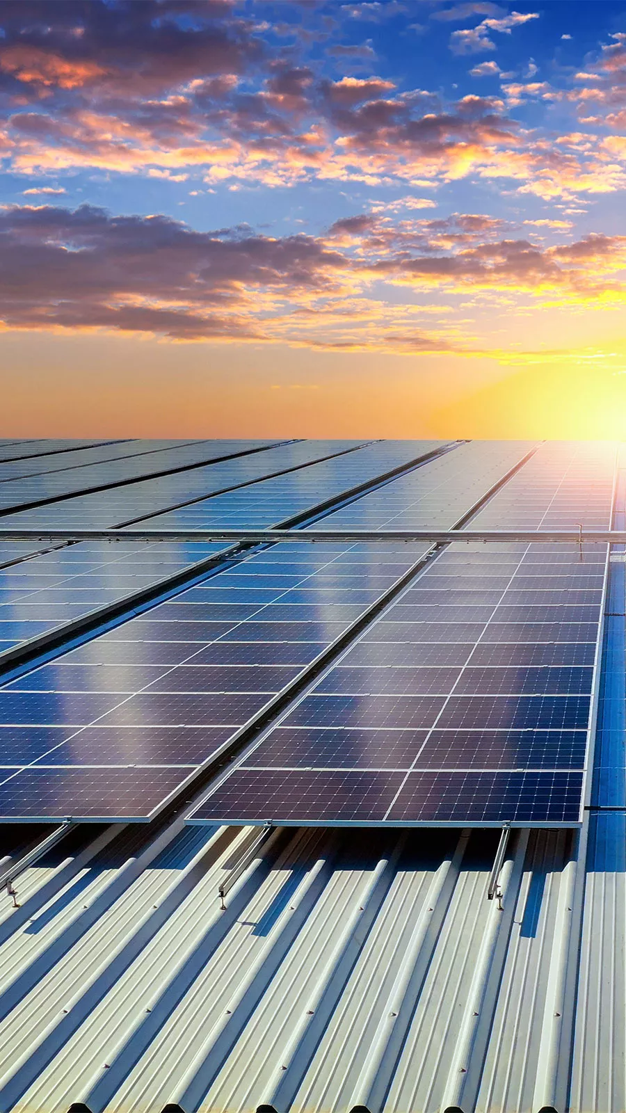 Solar Frei und Affentranger